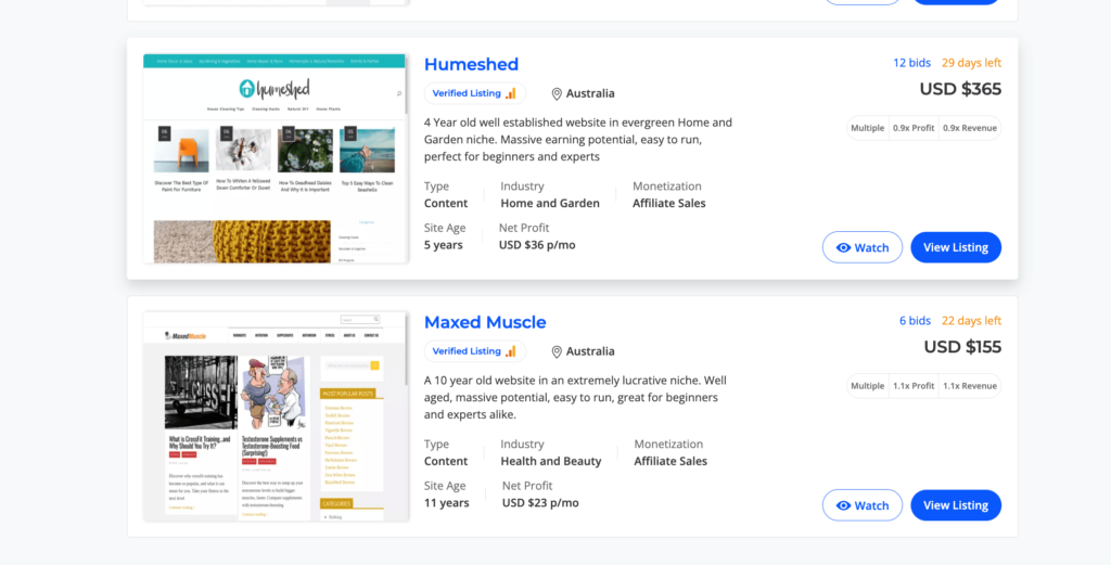 Maximizing Profits When Selling a Website in 2023 1 Best Digital Marketing Agency | Fastest Rank