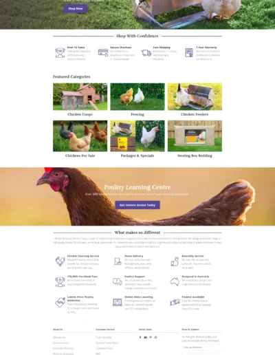 Best Digital Marketing Agency | Fastest Rank