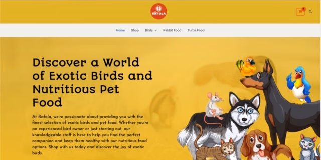 Professional Business Website Design | Display Rack India | FastestRank Portfolio